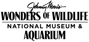 Wonders of Wildlife logo